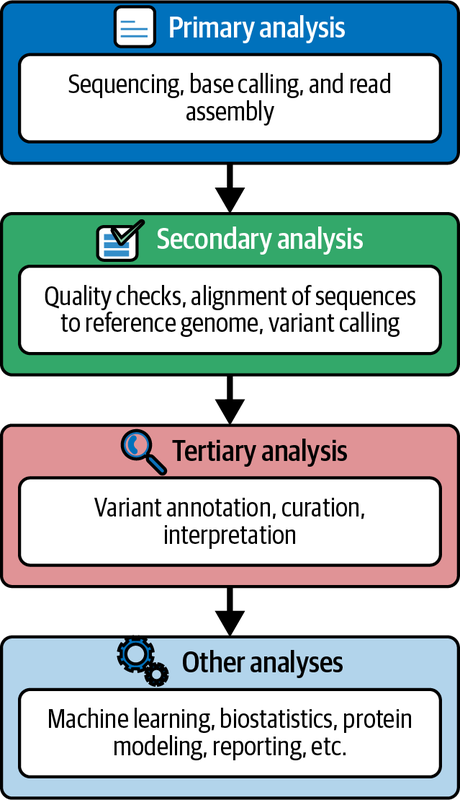 General bioinformatics analysis steps