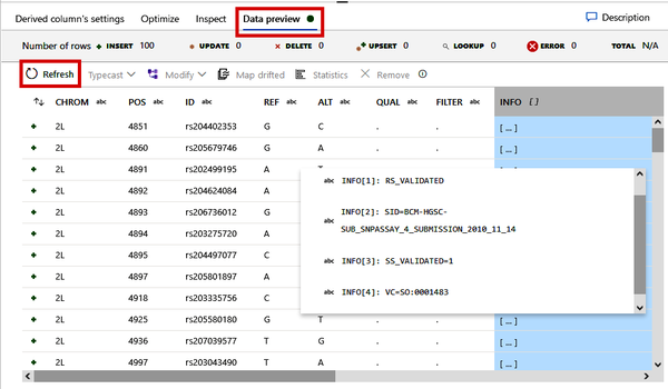 Previewing the split INFO column as an array