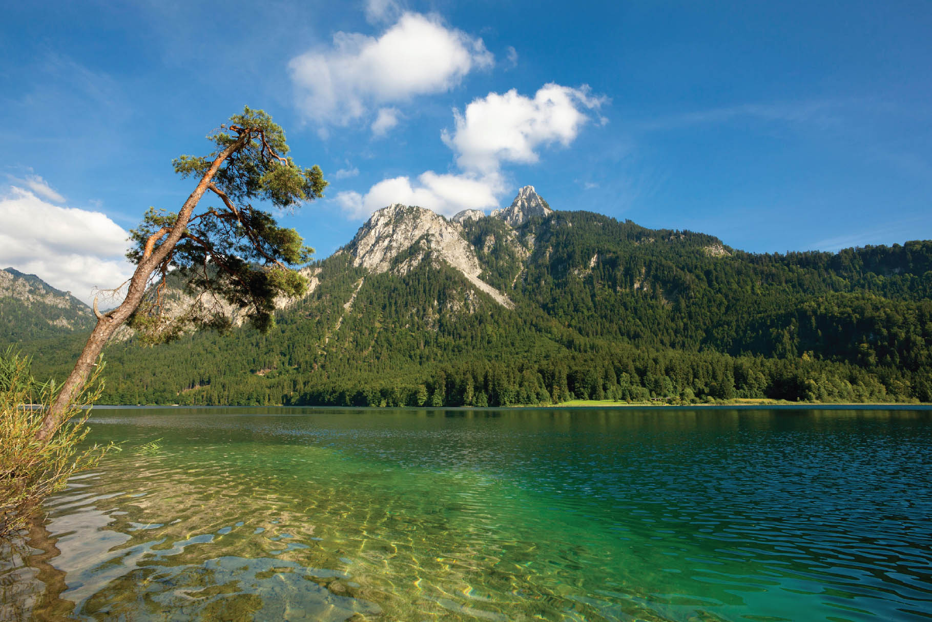 Alpsee bei Schwangau - Bayerische Alpen fotografieren [Book]