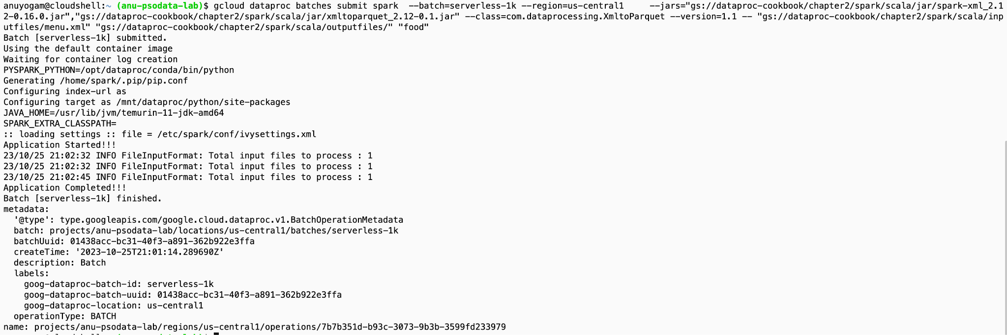 Job status and driver output in the Terminal