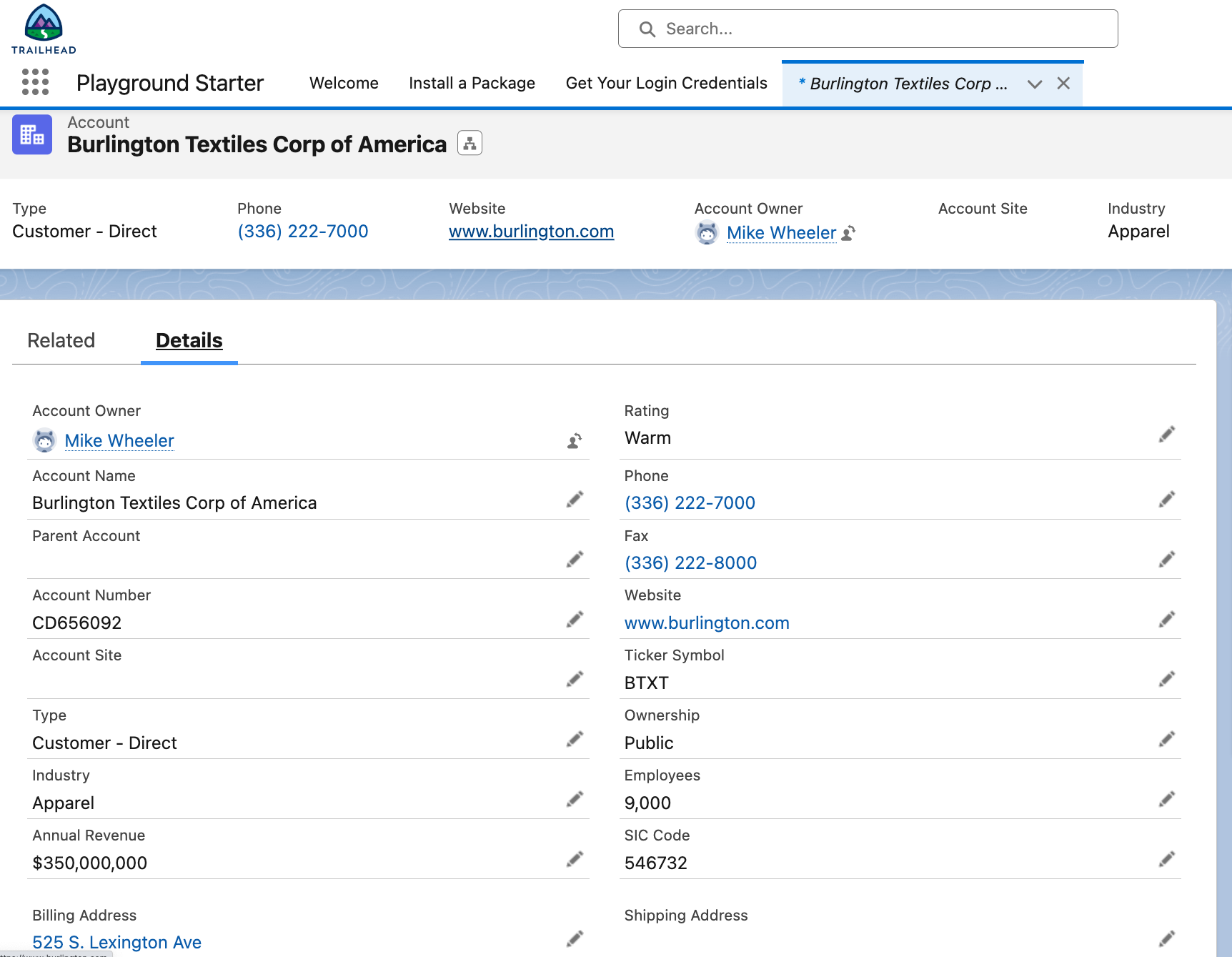  19  Account Detail Record with Details tab displayed