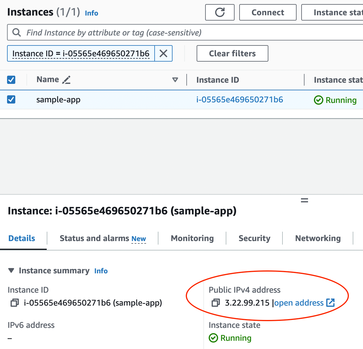 Find the public IP address for your EC2 instance