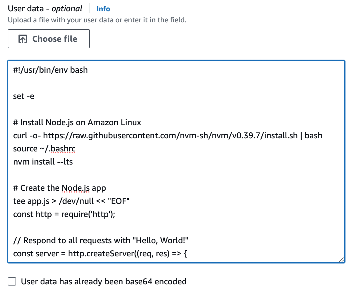 Configure user data for your EC2 instance