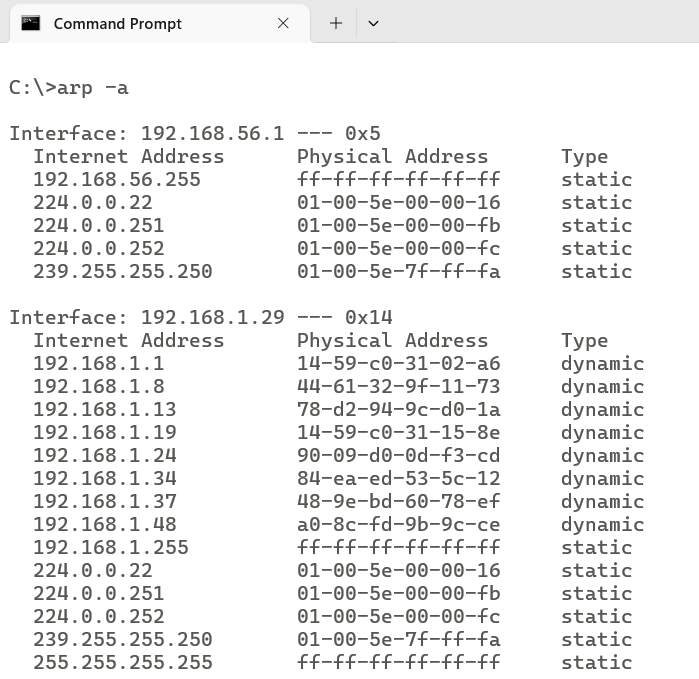   ARP cache