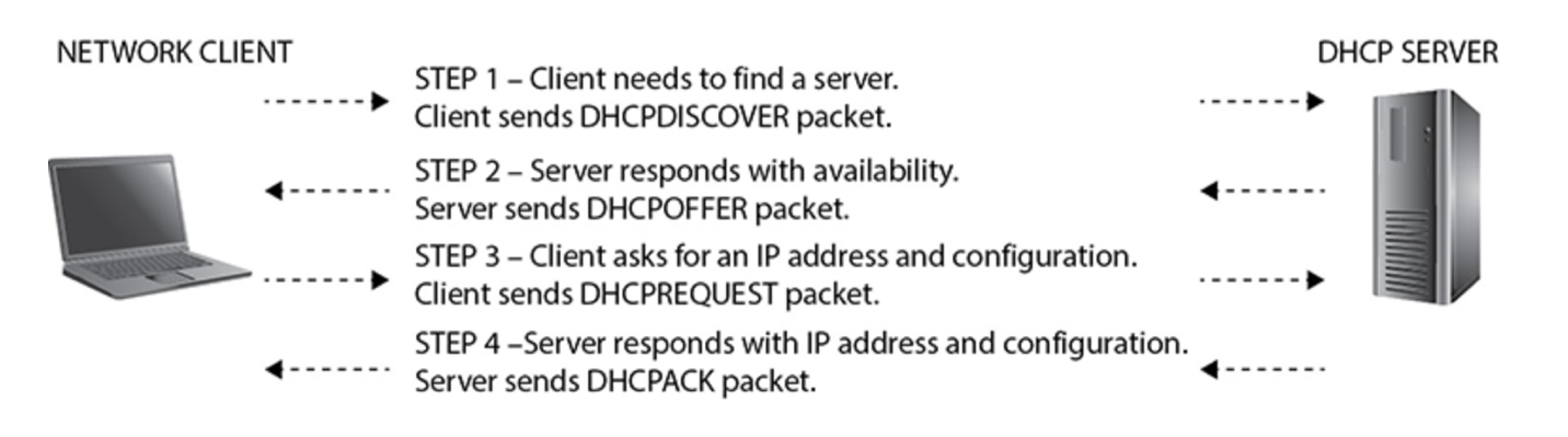 DHCP in action