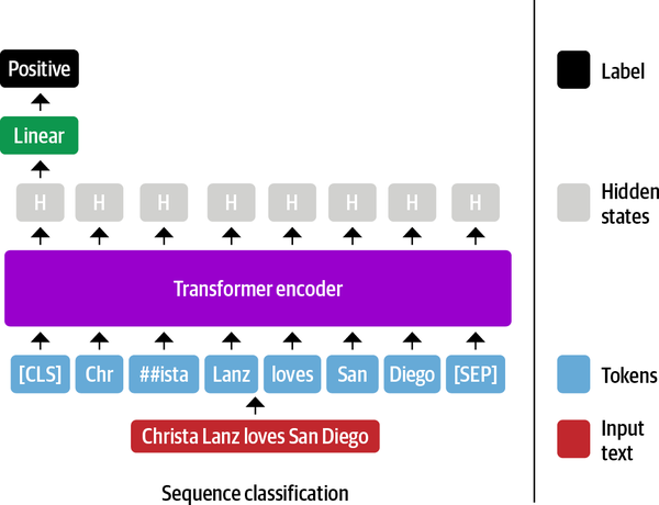 Architecture of a transformer encoder for classification.