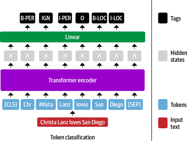 Architecture of a transformer encoder for named entity recognition. The wide linear layer shows that the same linear layer is applied to all hidden states.