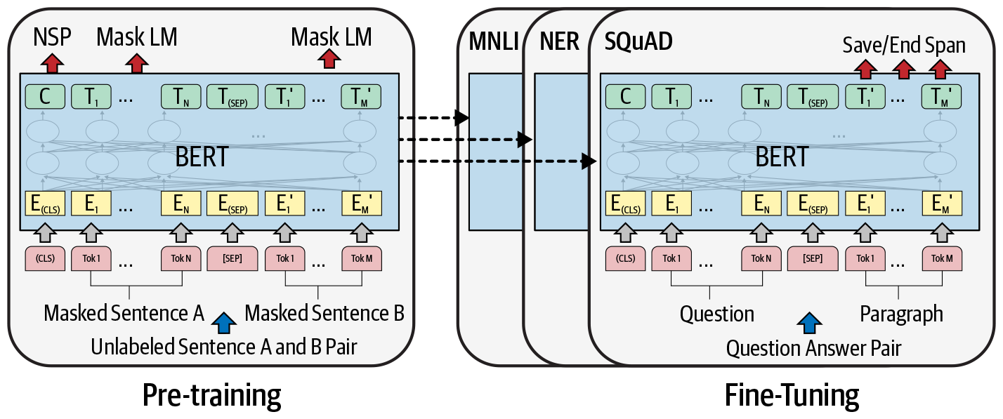 BERT architecture. (a) Pre-trained model (b) fine-tuned, task-specific models