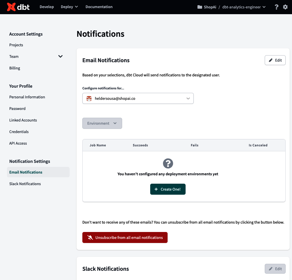 dbt Notification Settings