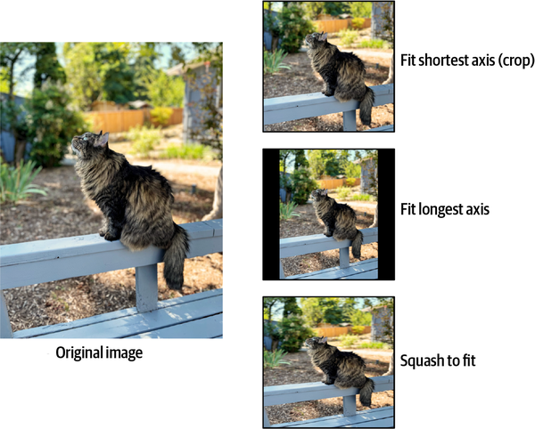 Images resized by fitting the shortest axis, fitting the longest axis, and by squashing the longest axis.