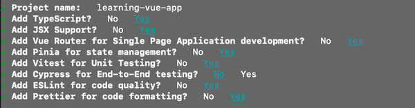 An image of chosen configurations for Vue application during the creating process