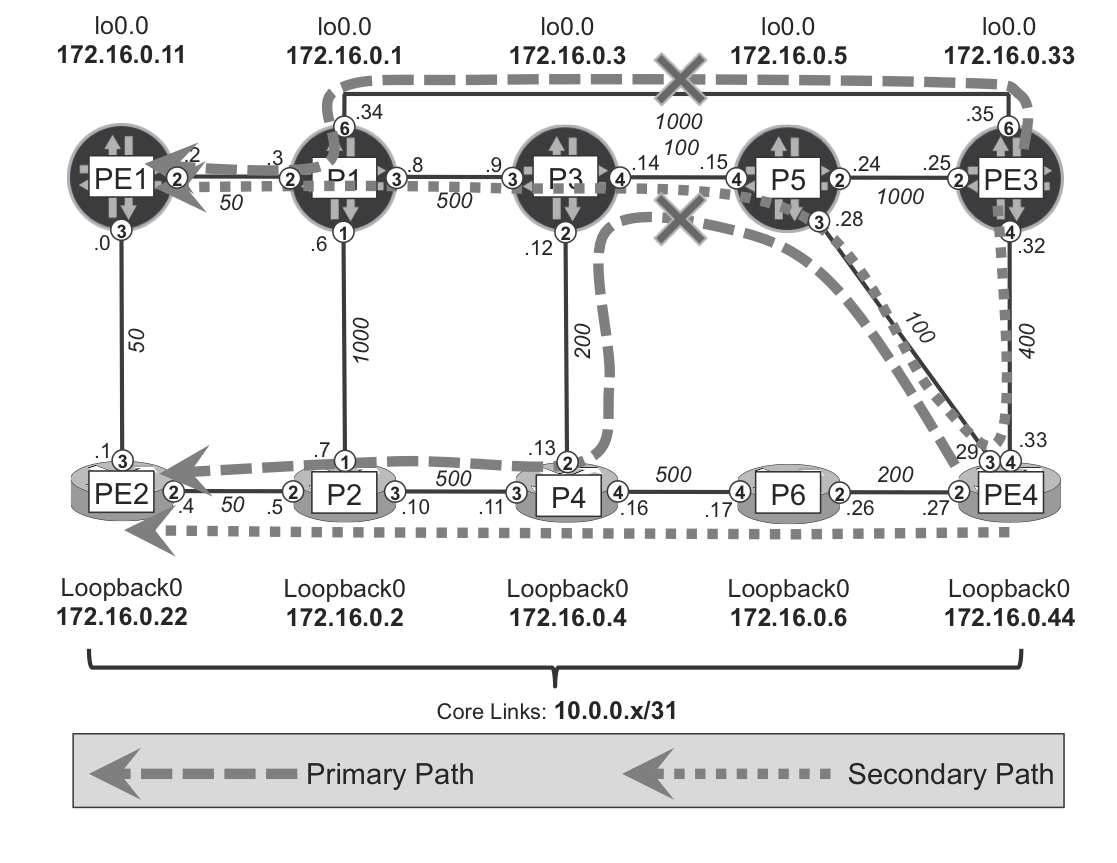 RSVP path protection concepts