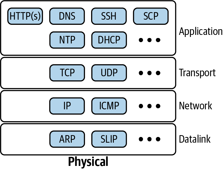 Network layer model