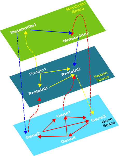 Three interlinked planes for Metabolic, Protein, Gene space. Metabolic space has Metabolite1 to 2. Protein space has interlinked Protein 1-3. Gene space has interwoven Gene1-4.     