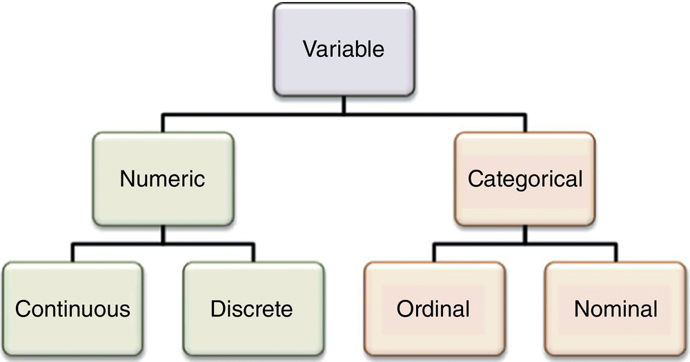 Tree diagram displaying “Variable” branching to “Numeric” and “Categorical,” with “Numeric” branching to “Continuous” and “Discrete” and “Categorical” branching to “Ordinal” and “Nominal.”