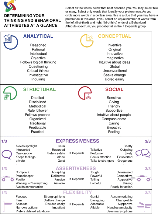 Figure depicting a template to determine thinking and behavioral attributes at a glance.