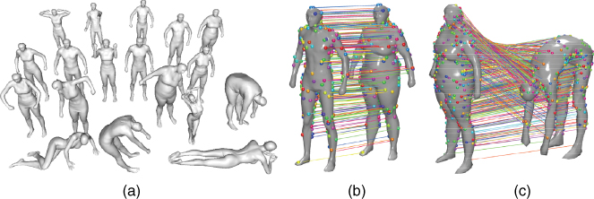 Illustrations of (a) 3D models that undergo nonrigid deformations; (b) correspondences when the 3D models undergo only stretching; and (c) correspondences when the 3D models stretch and bend at the same time.