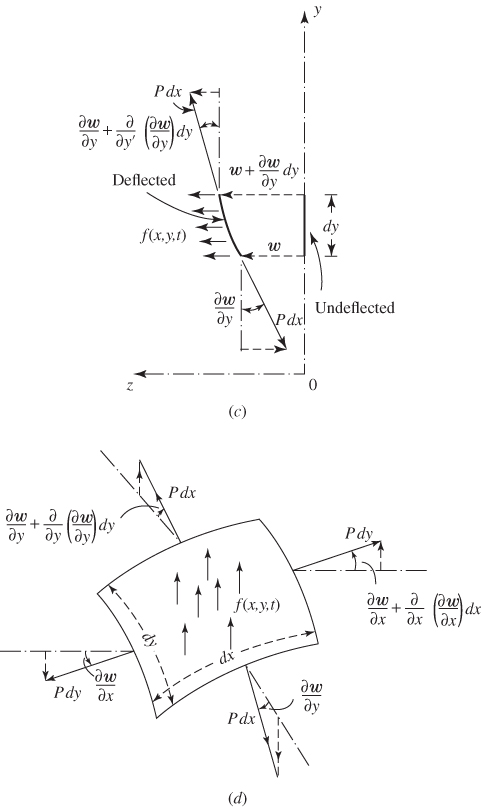 Schematic diagrams depicting (c) deformed membrane as seen in the yz plane; (d) forces acting on an element of the membrane.