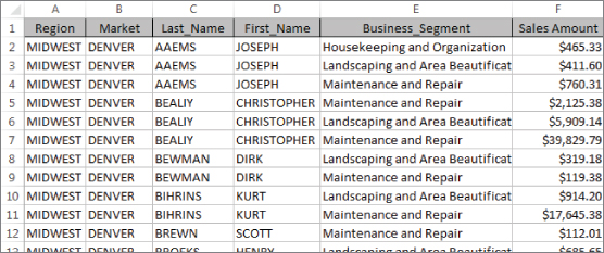 Screenshot of a simple table used to create different views: sales by employee, sales by business segment, sales by region, and so forth.