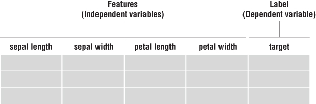 “Illustration presenting the Iris dataset in which the first 4 columns are called as the features, or independent variables and the last column is known as the label, or the dependent variable.”