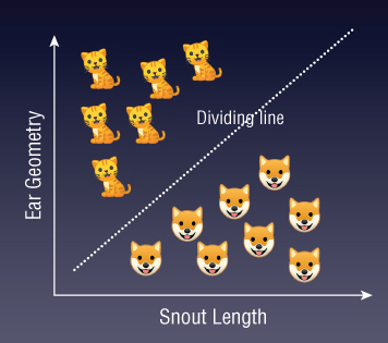 Illustration of using support vector machines (SVM) to draw a line to separate two classes of animals based on their ear geometry and snout length.