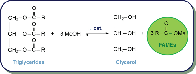 Chemical equation to obtain biodiesel from triglycerides.