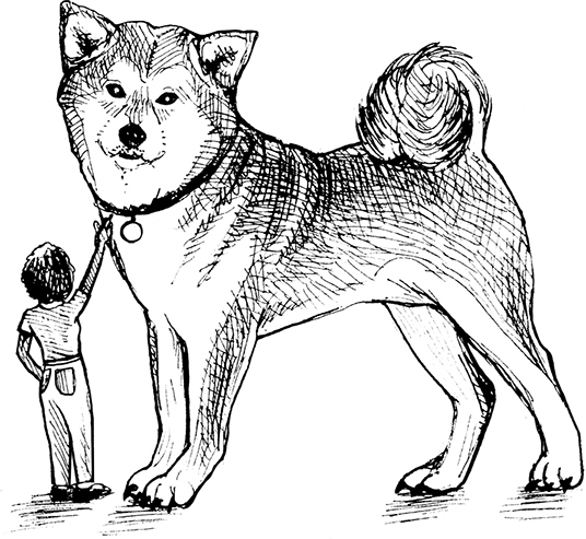 The image shows a huge dog with a collar. And, in front a small boy holding the collar of the dog can be seen.