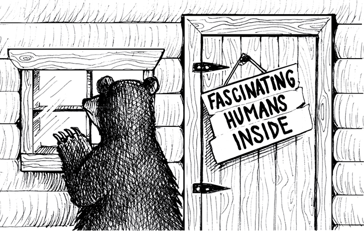 The image shows the bear peeping outside the window of the room. On the door a board with the heading “Fascinating Humans Inside“ can be seen.