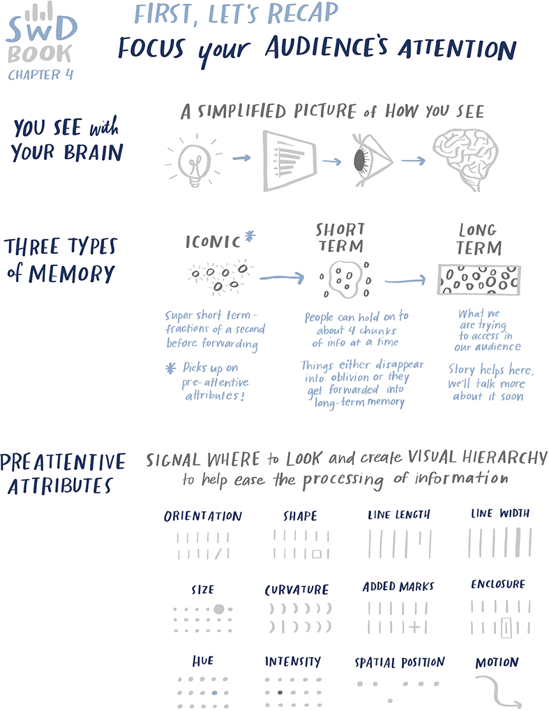 Image shows Chapter 4 “Focus Your Audience” as the heading. Following are the subheadings being discussed. You see with your brain, three types of memory, preattentive attributes.