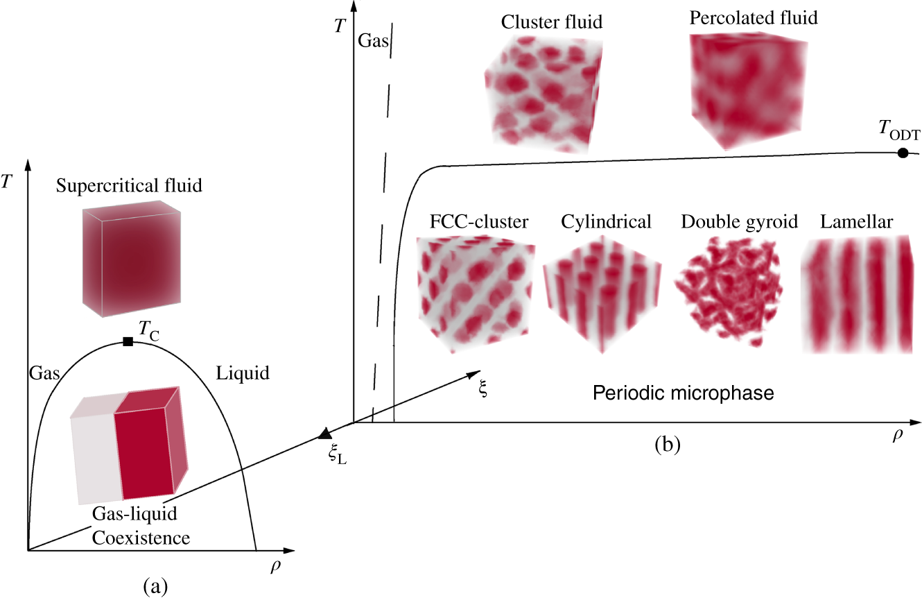 Schematic illustration of temperature T, density ρ, frustration ξ phase diagram for model microphase formers.