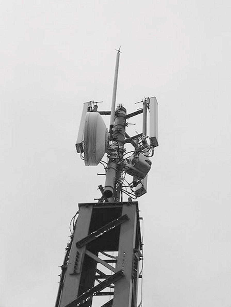 Photo depicts microwave antenna radome cover.