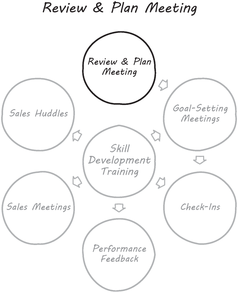 Schematic illustration of the Review and Plan Meetings.