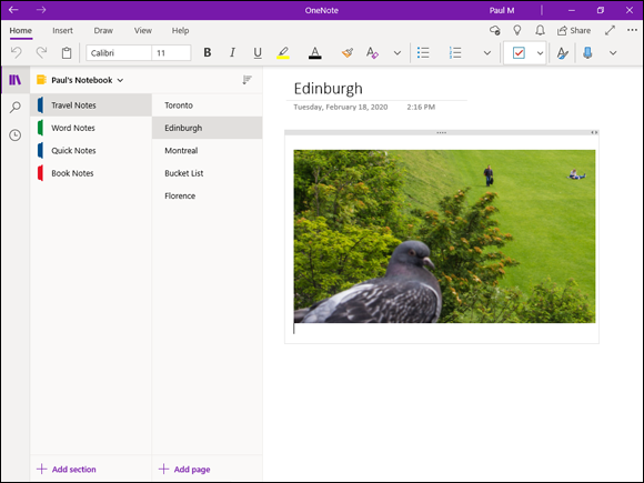 Snapshot of the OneNote page that displays the travel notes.