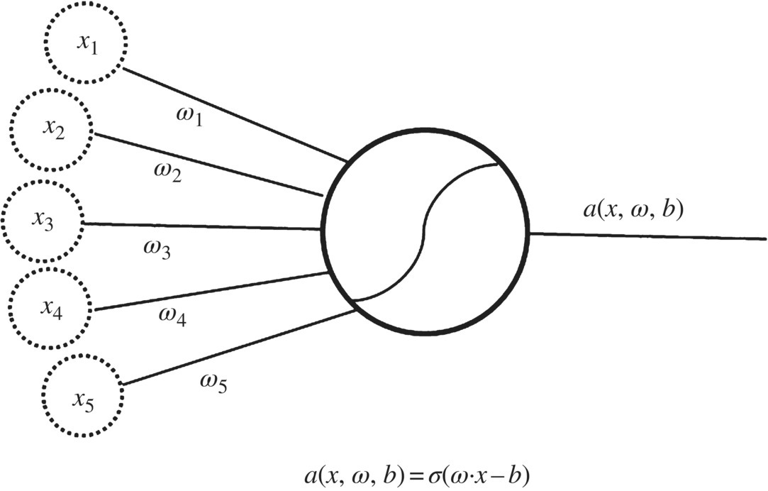 Schematic illustration of single neuron. Sigma activation function: the inputs xk are multiplied by the weights ωk, and possibly have a bias applied, and the result is passed through a function that is monotonically increasing, differentiable, with asymptotes.