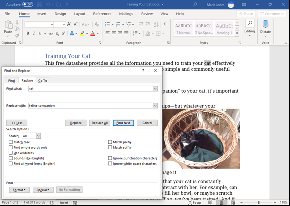 Snapshot of a Word document with the Find and Replace dialog box.