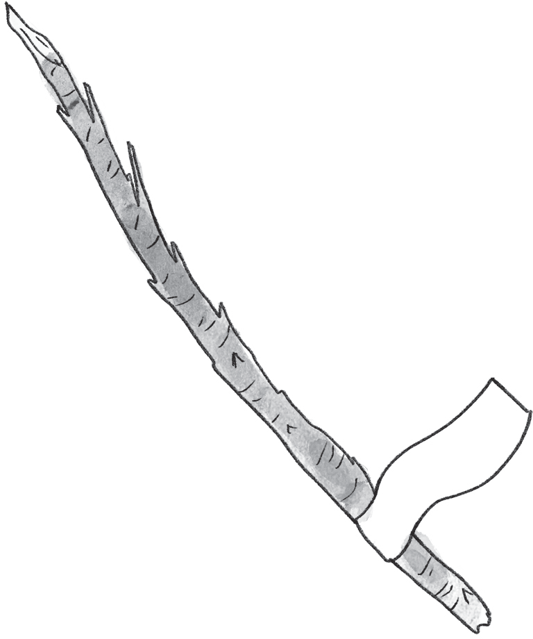 Schematic illustration of the small stick with a piece of tape.