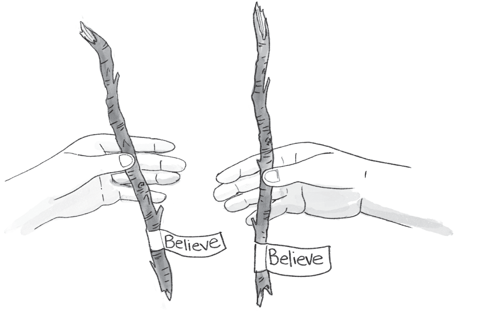 Schematic illustration of two hands holding a stick labeled Believe.