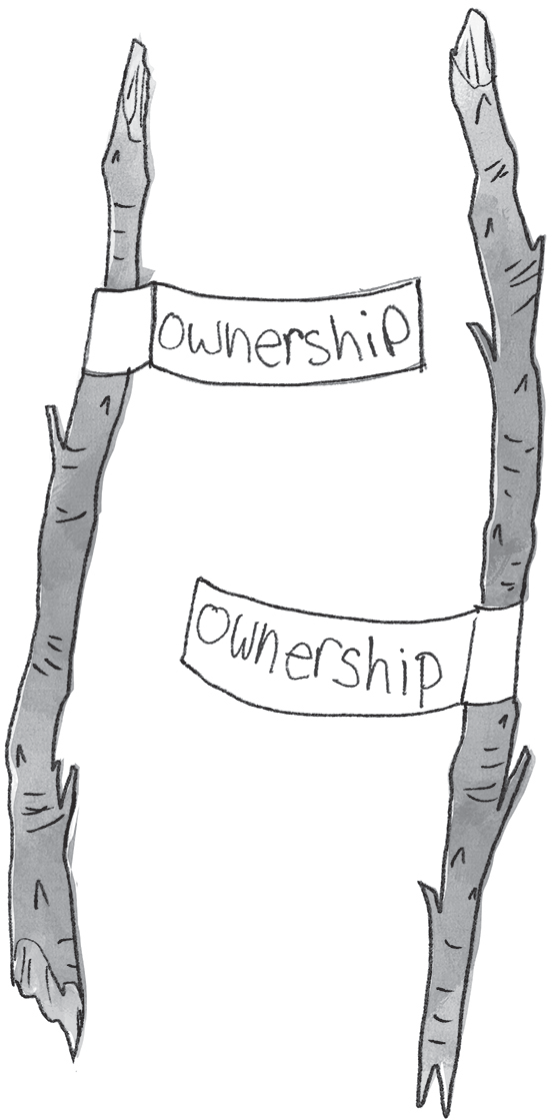 Schematic illustration of the sticks labeled OWNERSHIP.