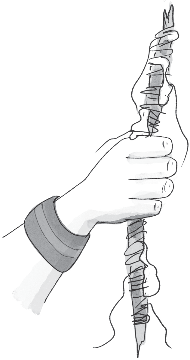 Schematic illustration of the hand holding a stick that is soaked with some sort of glue and wrapped with string.