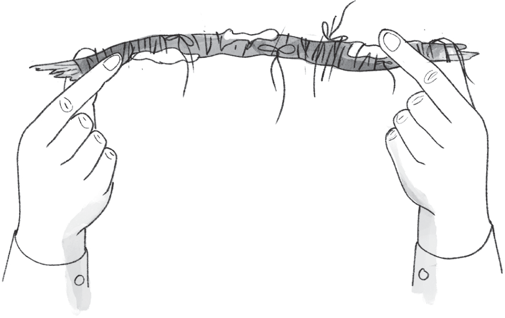 Schematic illustration of the hand holding a stick between his finger and thumb on each hand.