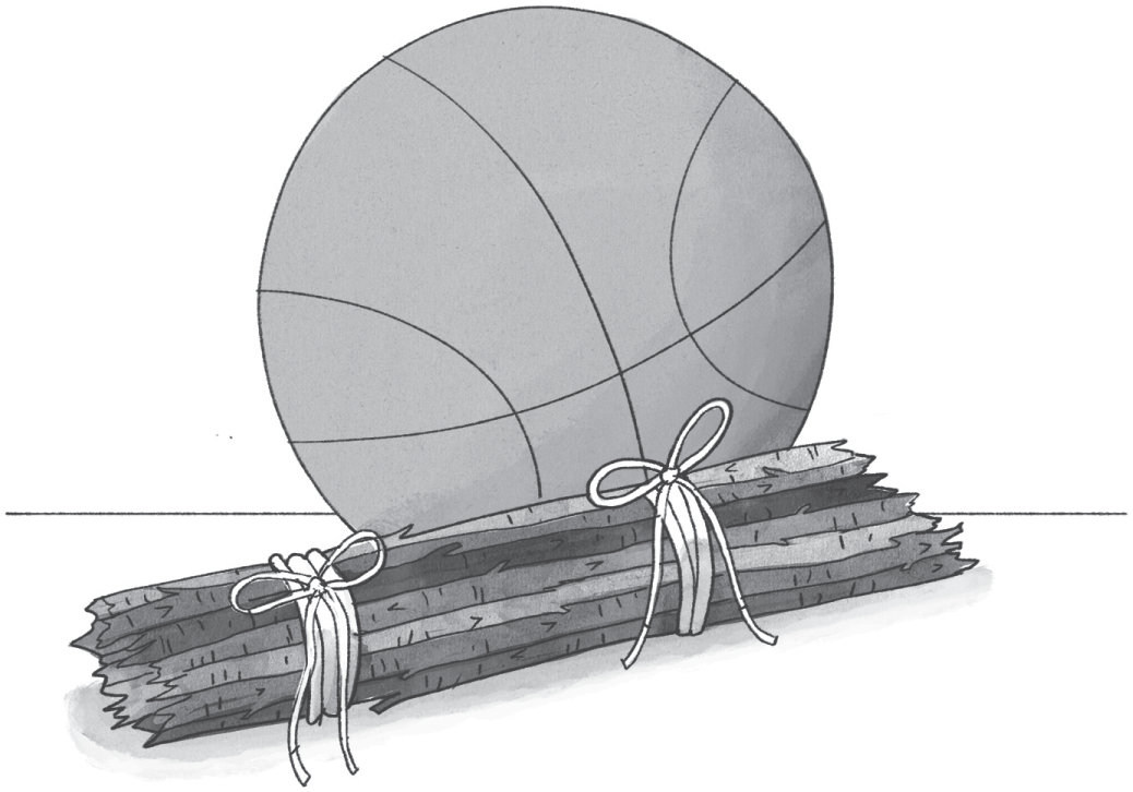 Schematic illustration of the buddle of sticks placed beside the ball.