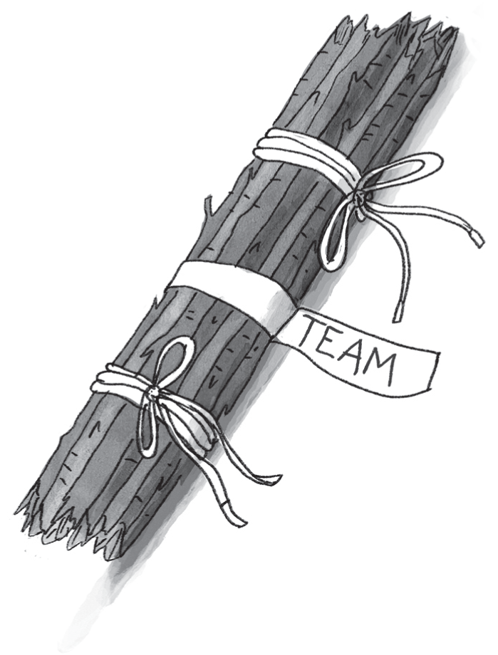 Schematic illustration of the buddle of sticks labeled TEAM.