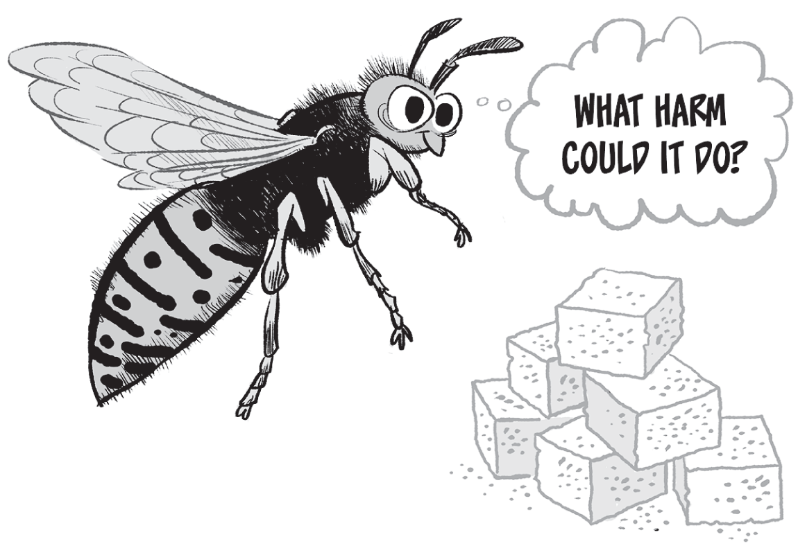 Schematic illustration of the wasp trap.