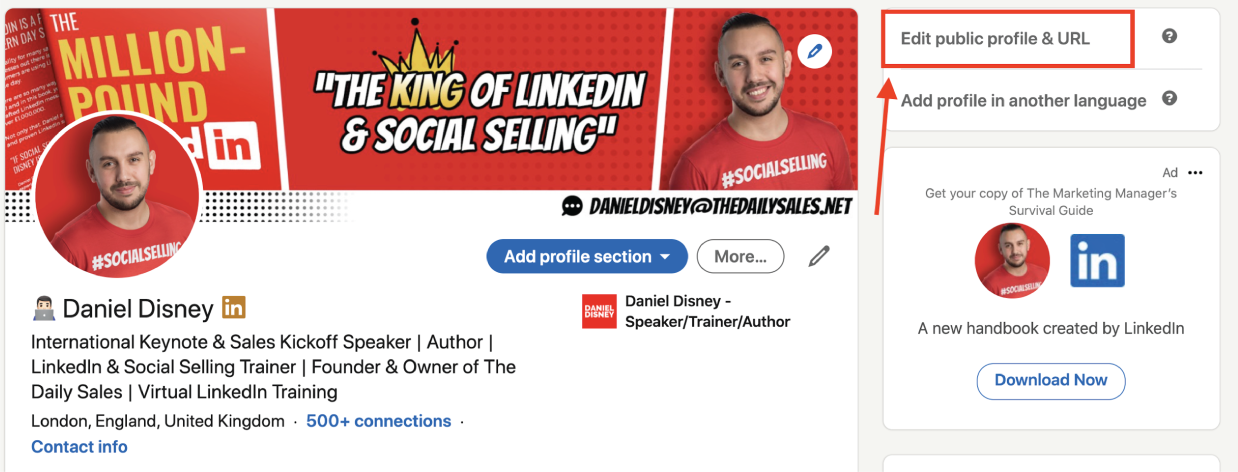 Snapshot of the LinkedIn profile of Daniel Disney.