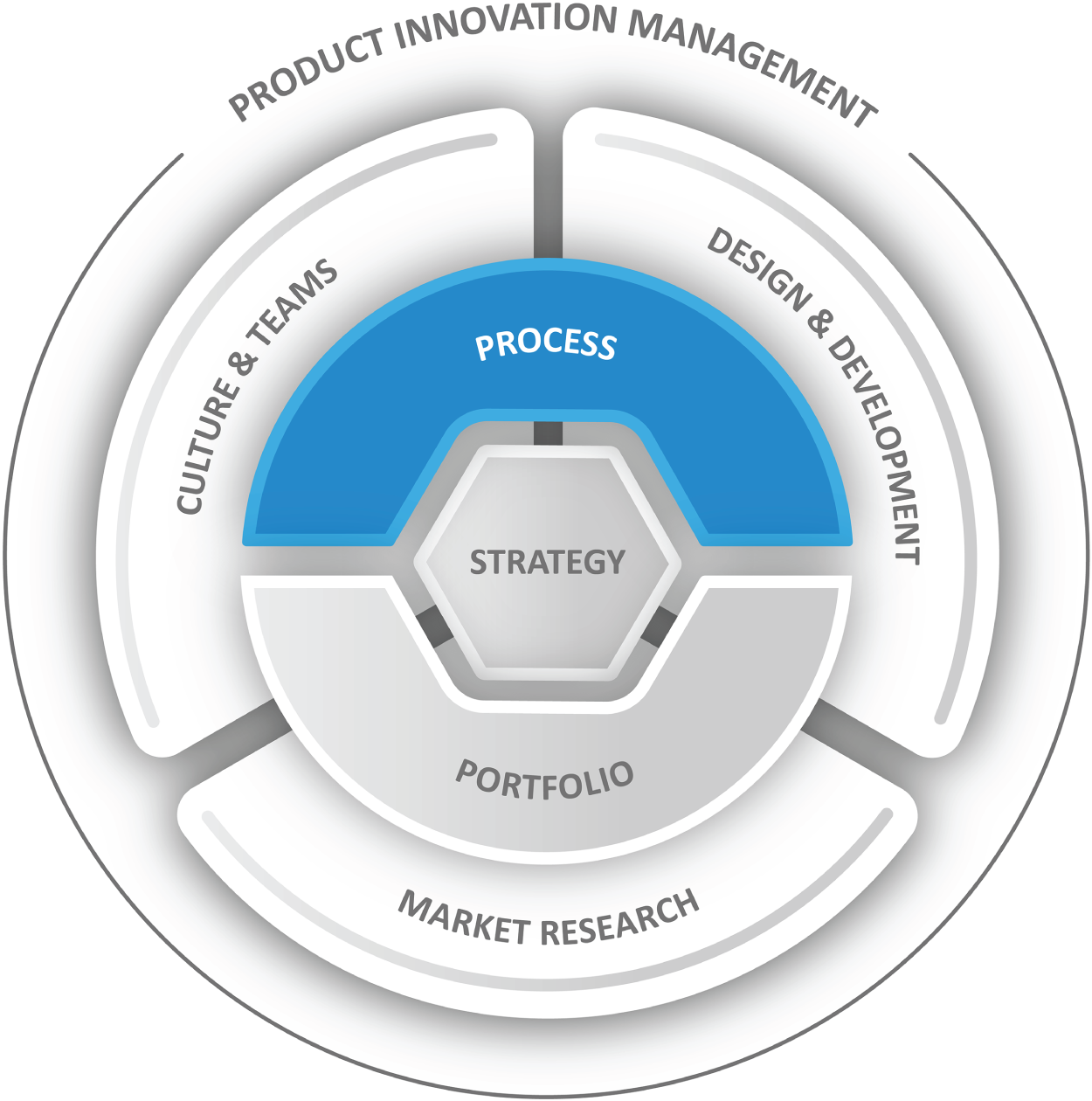 A diagram of the strategy. It consists of product innovation management, process, strategy, portfolio, market research, culture, teams, design, and development.