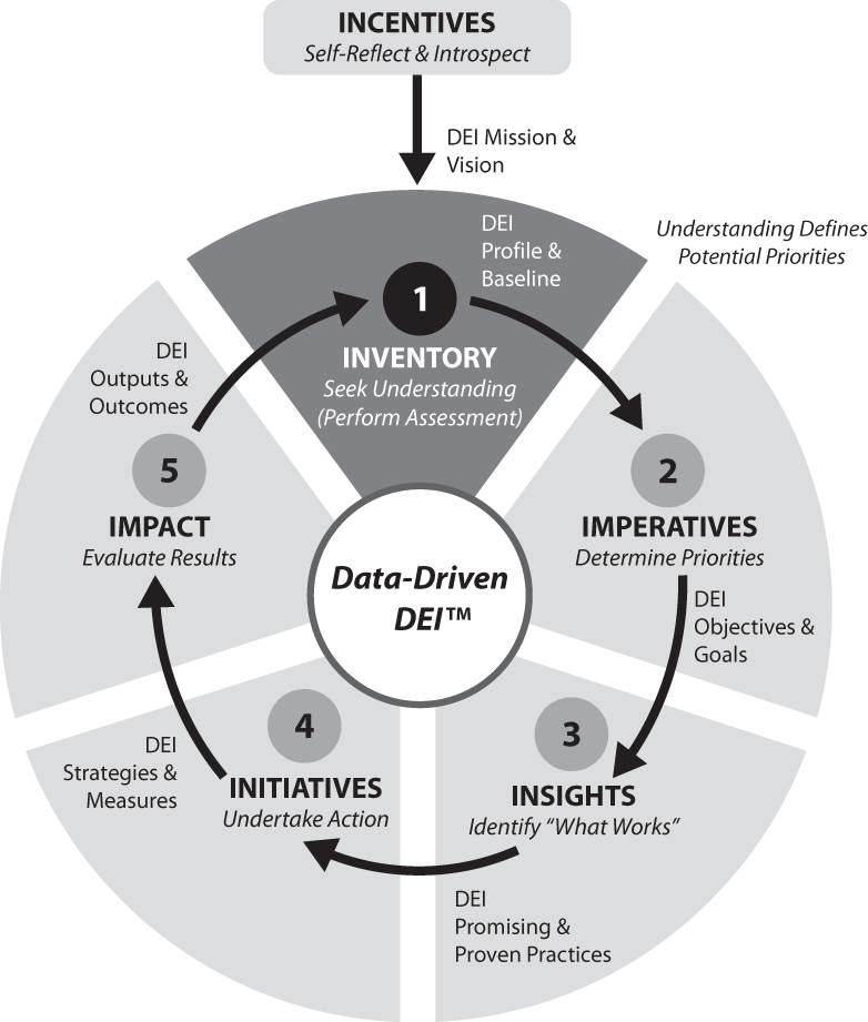 Schematic illustration of Data-Driven DEI—Step 1: DEI Inventory for People