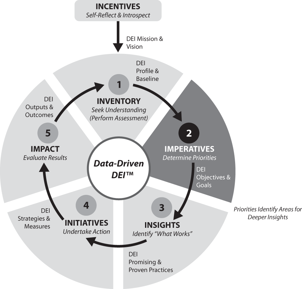 Schematic illustration of Data-Driven DEI—Step 2: DEI Imperatives