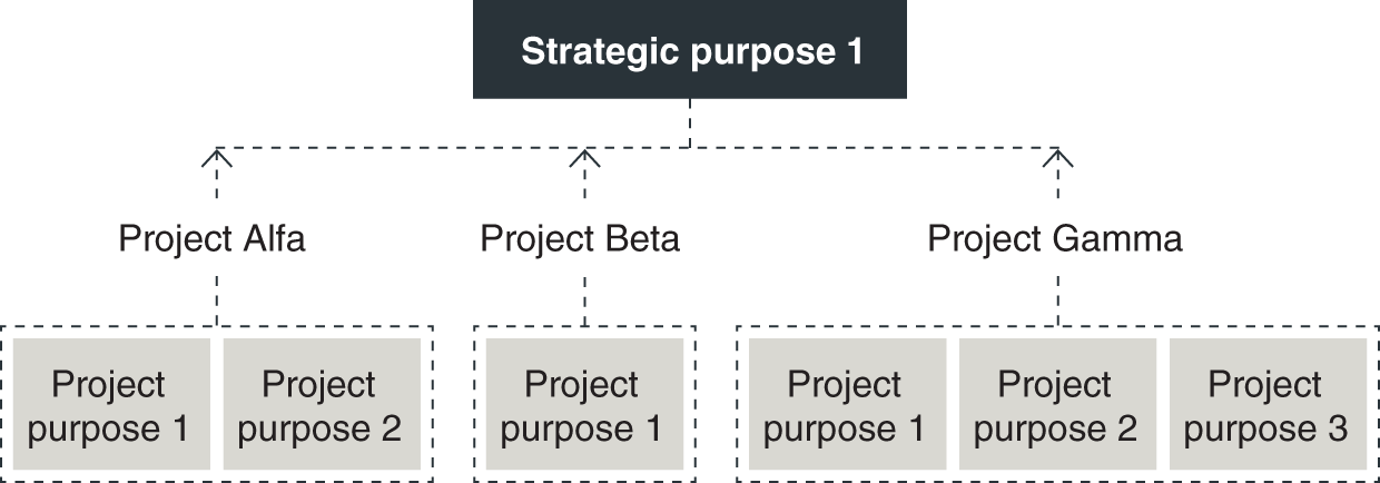 Schematic illustration of the connection between project purposes and strategic purposes.