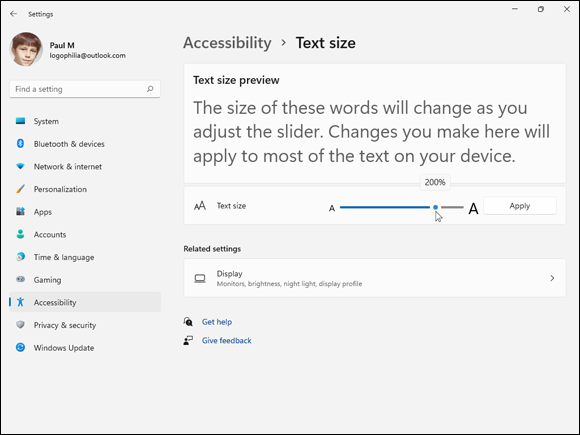 A snapshot displays the accessibility page.