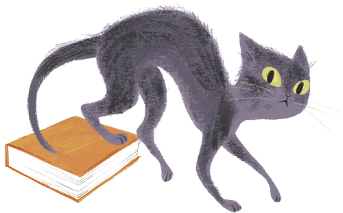 Schematic illustration of a cat and a book.